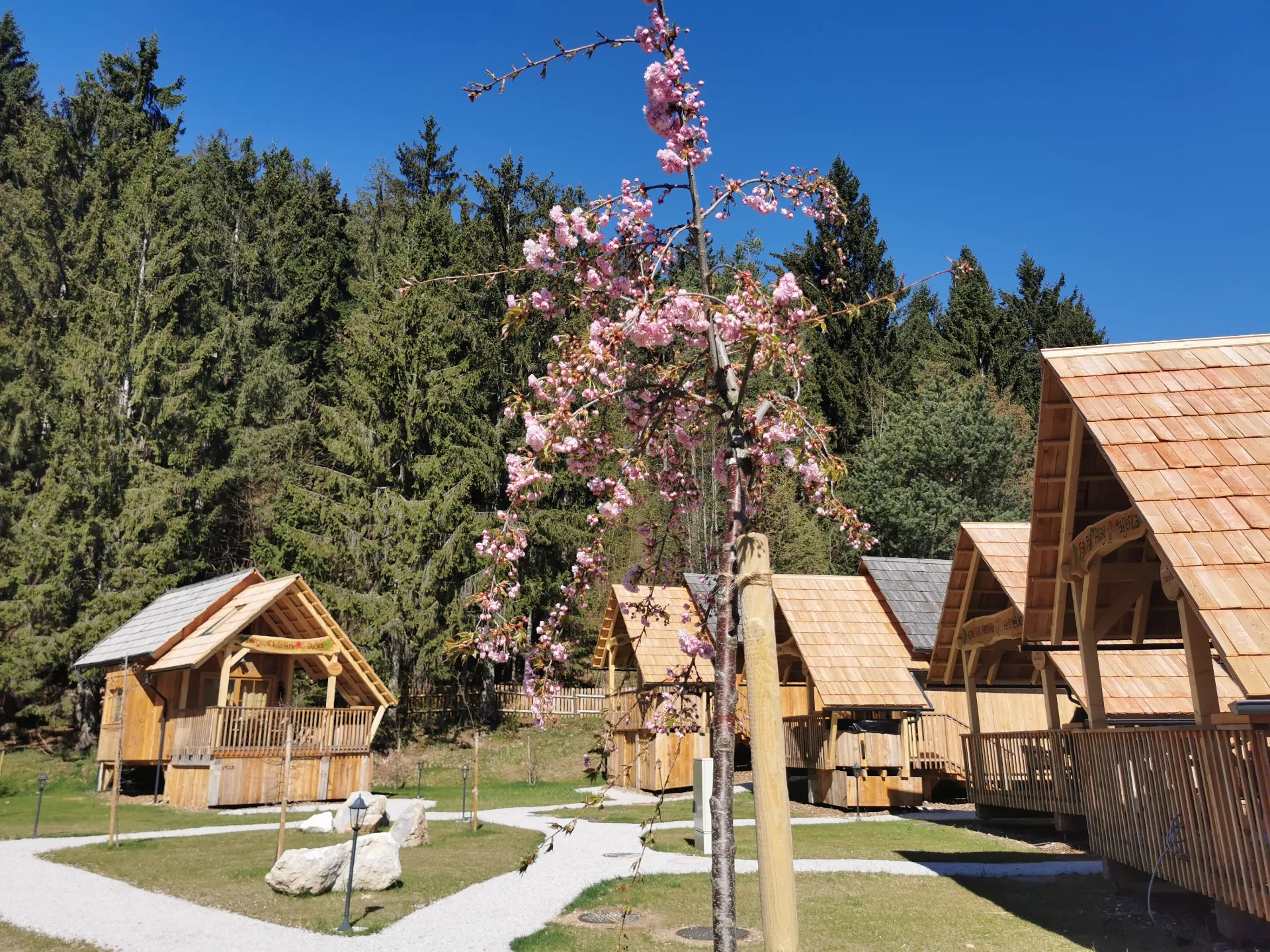 Ribno-luxury-glamping-spring3